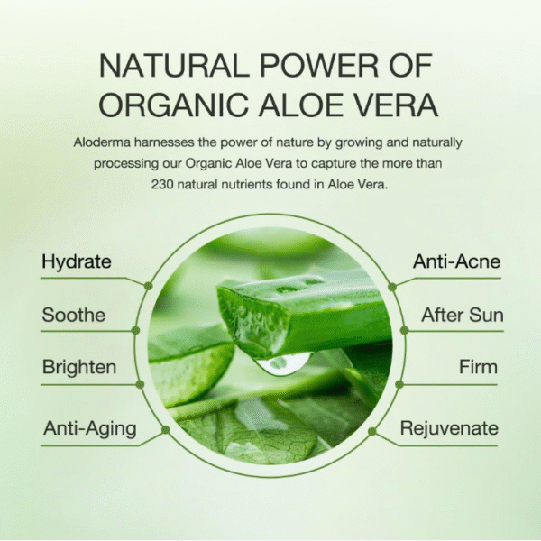 Aloe Vera Gel for Repairing Skin - Image 3
