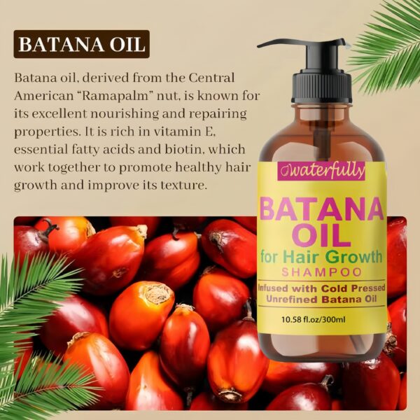 OEM/ODM Batana Oil Shampoo - Image 2