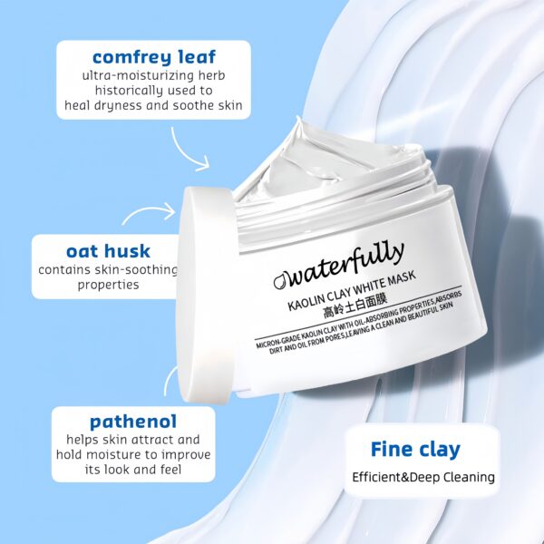 Mineral Clay Mask Facial Mask