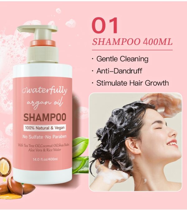 Sulfate Free Private Label Argan Oil Shanpoo Care Set - Image 2