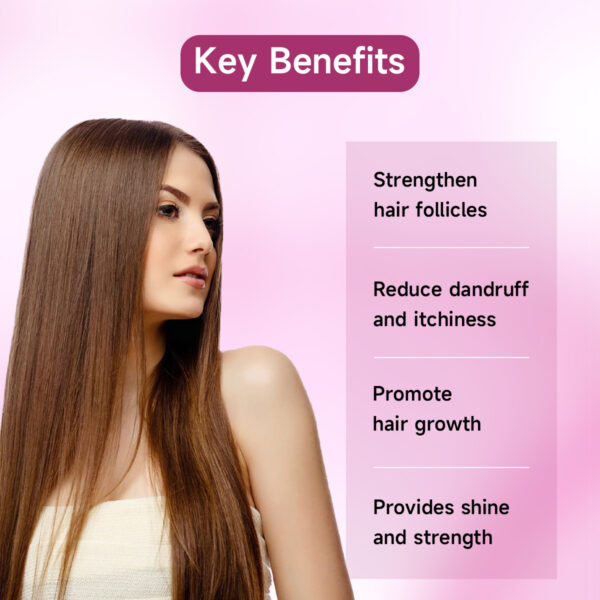 Wholesale Red Onion Black Seed Hair Growth Oil - Image 2
