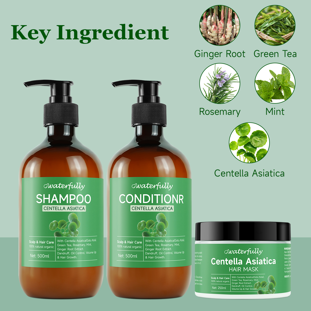 Centella Asiatica Strengthening Hair Loss Shampoo with Aloe Vera Shampoo Set