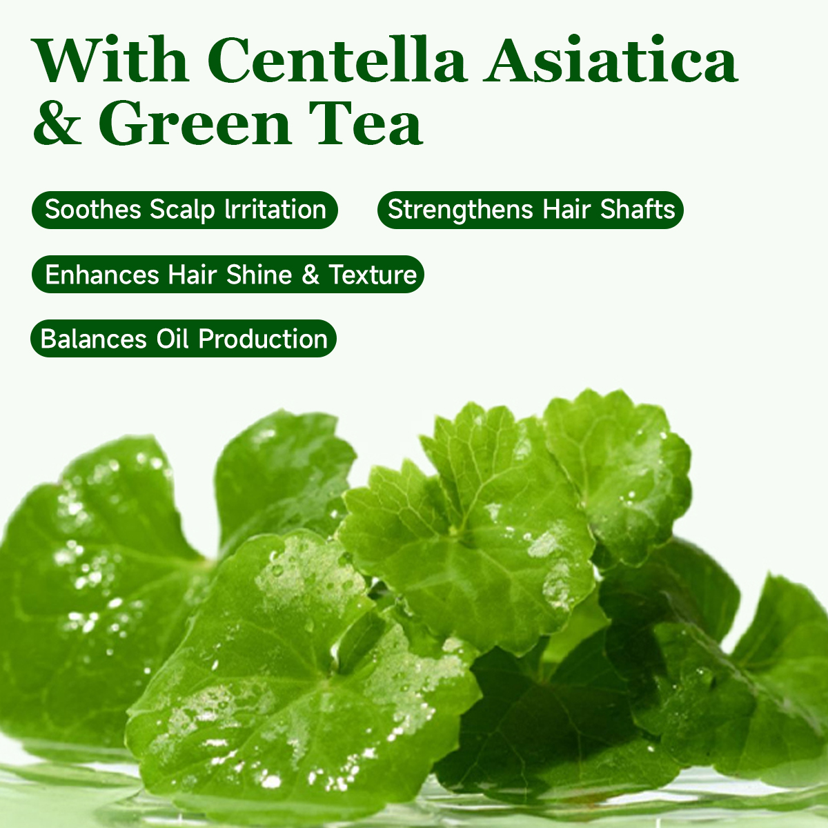 Centella Asiatica Strengthening Hair Loss Shampoo with Aloe Vera Shampoo Set - Image 2