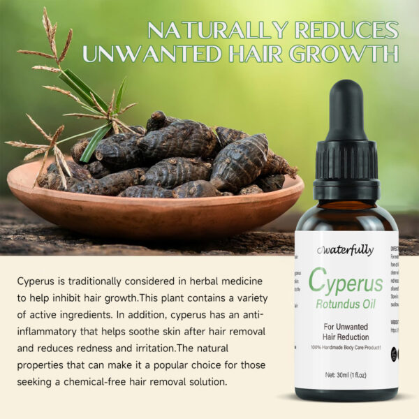 cyperus rotundus oil cyperus oil hair removal - Image 2