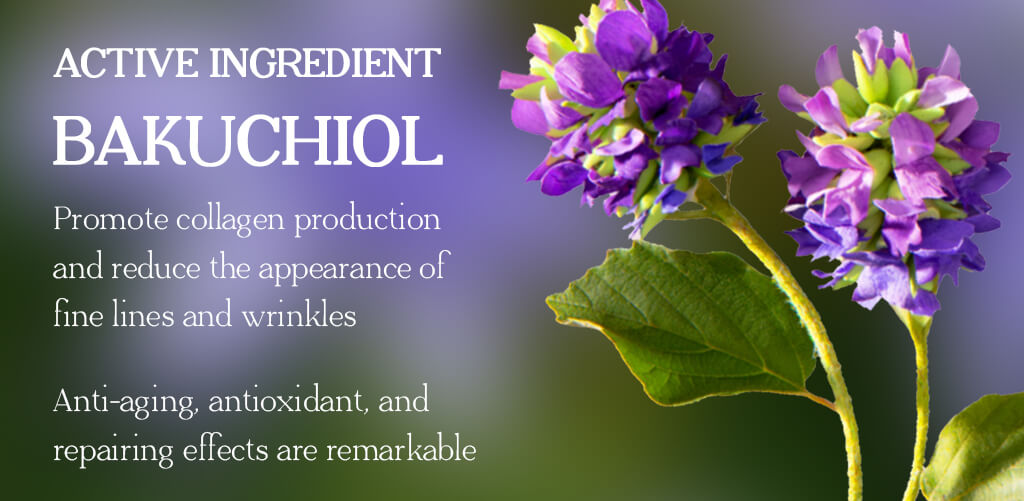 OEM/Private Label Bakuchiol Cosmetic