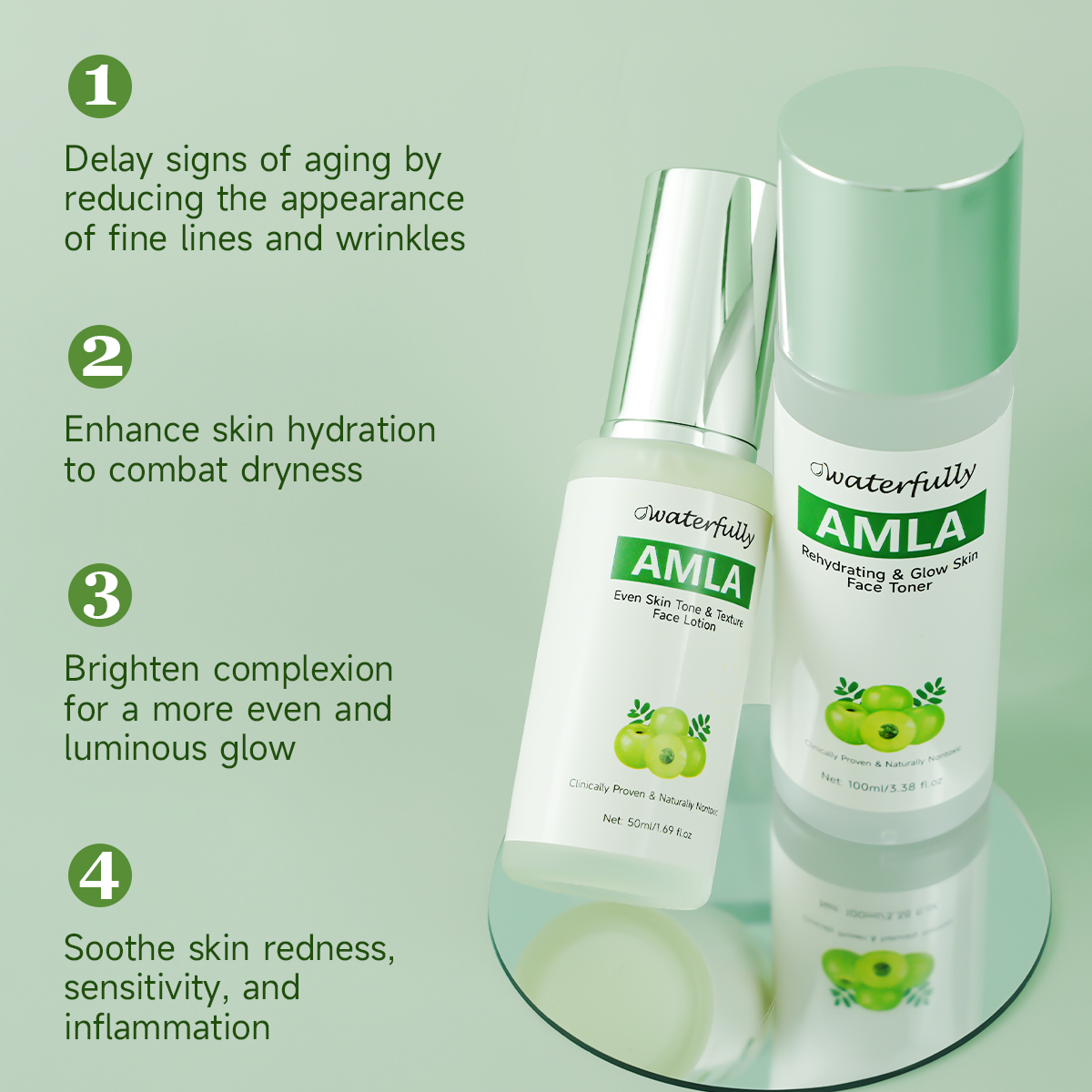 Amla Skincare Set | Anti-Aging · Brightening · Barrier Repair - Image 7