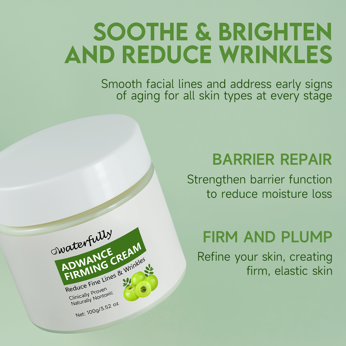 Amla Skincare Set | Anti-Aging · Brightening · Barrier Repair - Image 6
