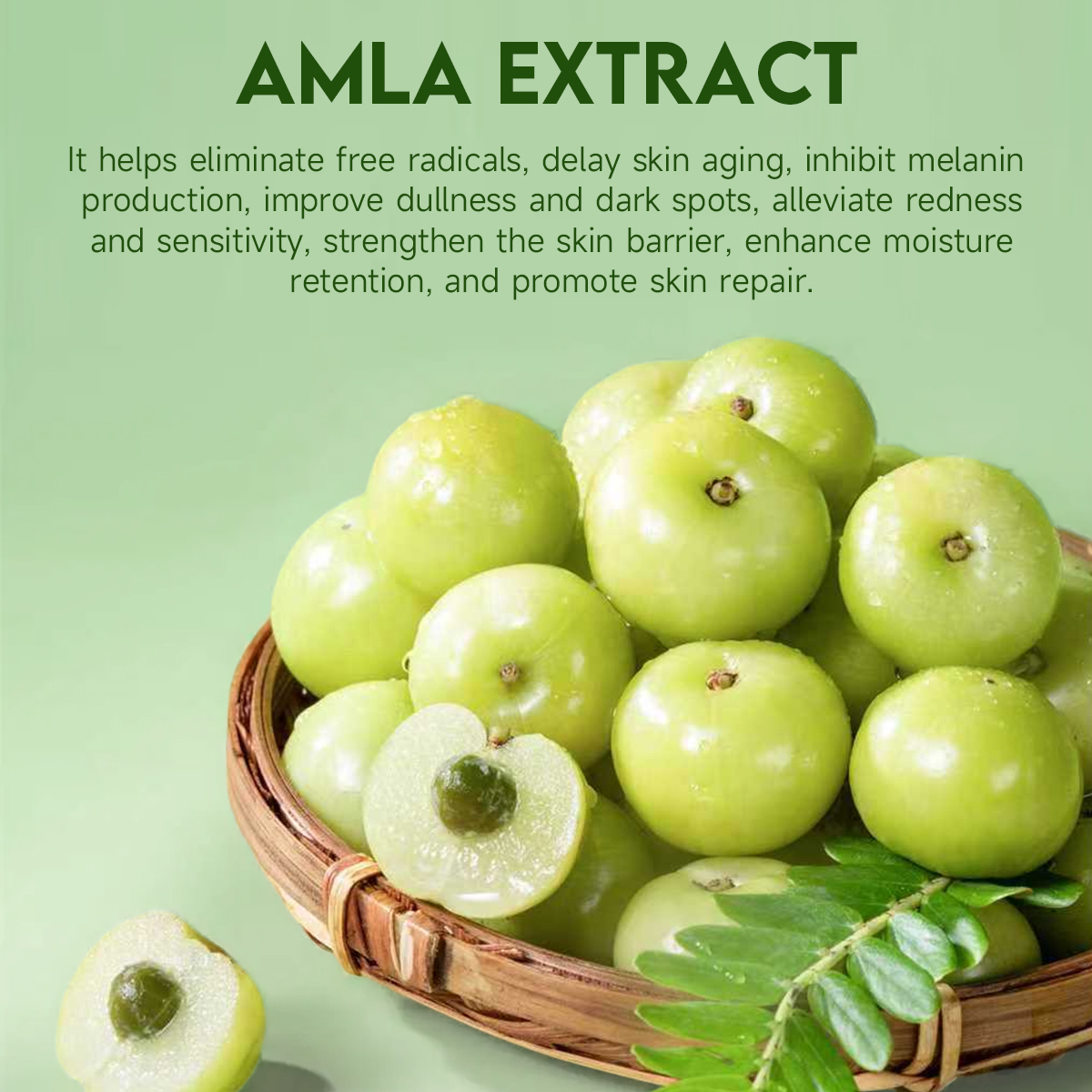 Amla Skincare Set | Anti-Aging · Brightening · Barrier Repair - Image 4