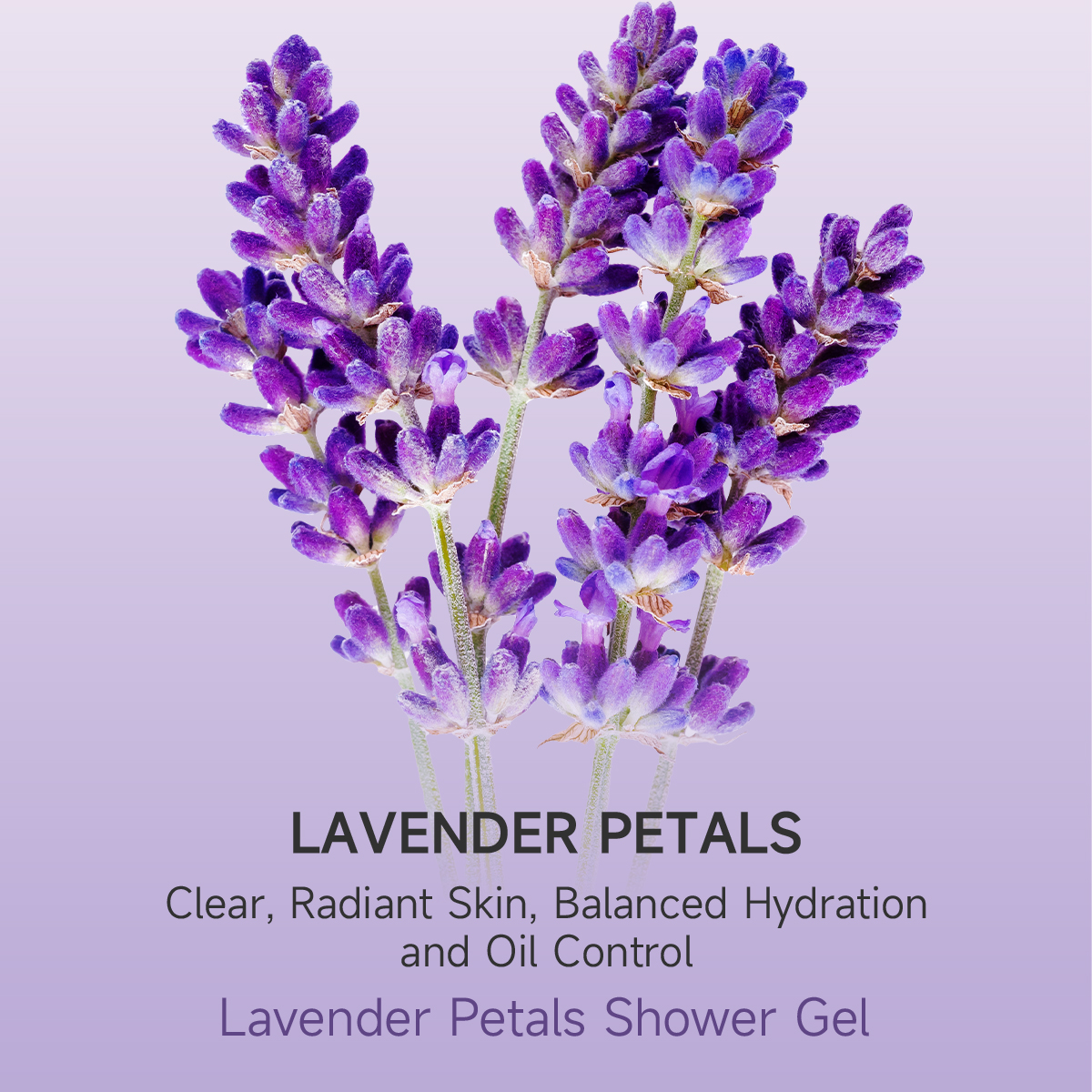 Lavender Shower Gel | Hydrating · Calming · Long-lasting Floral Scent - Image 5