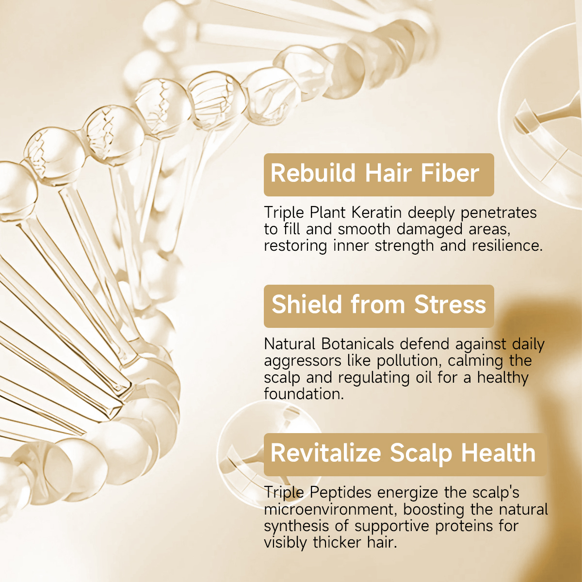 Oil-Control Hair Care Set | Volume Boost · Scalp Balance · Anti-Dandruff - Image 3