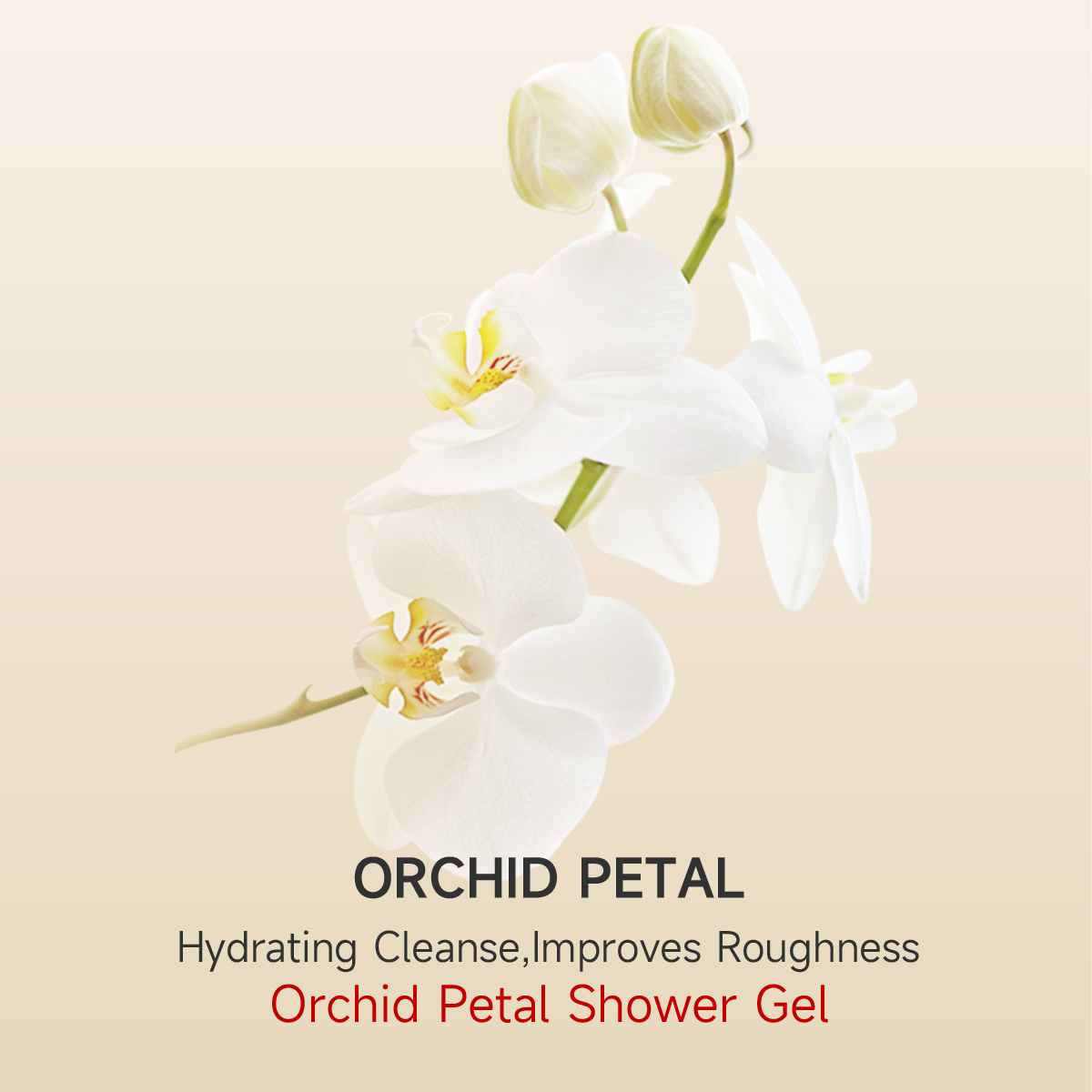 Orchid Shower Gel | Hydrating · Long-lasting Fragrance · Smooth Skin - Image 3