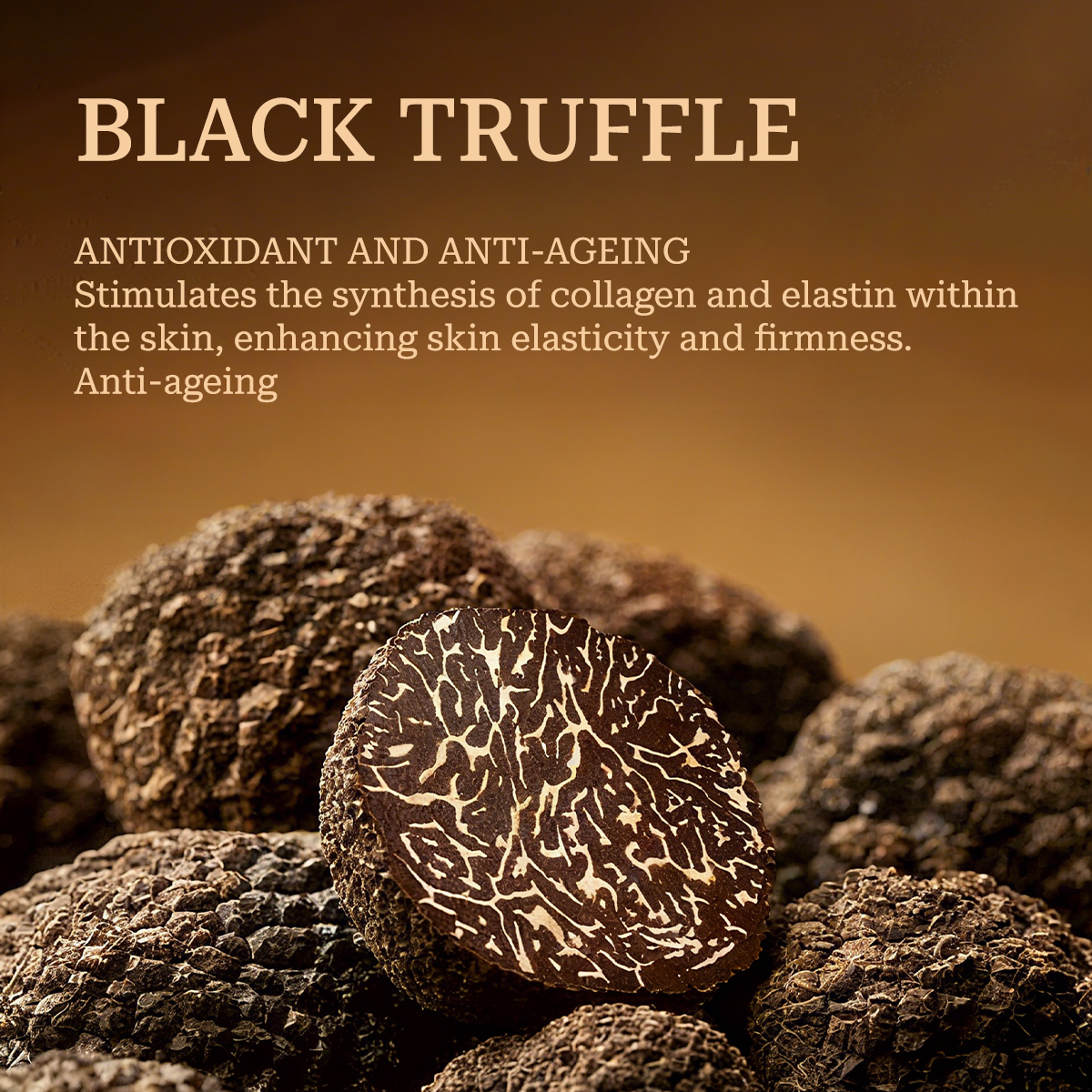 Truffle Skincare Set | Hydration · Firming · Anti-Aging · Radiant Skin - Image 2