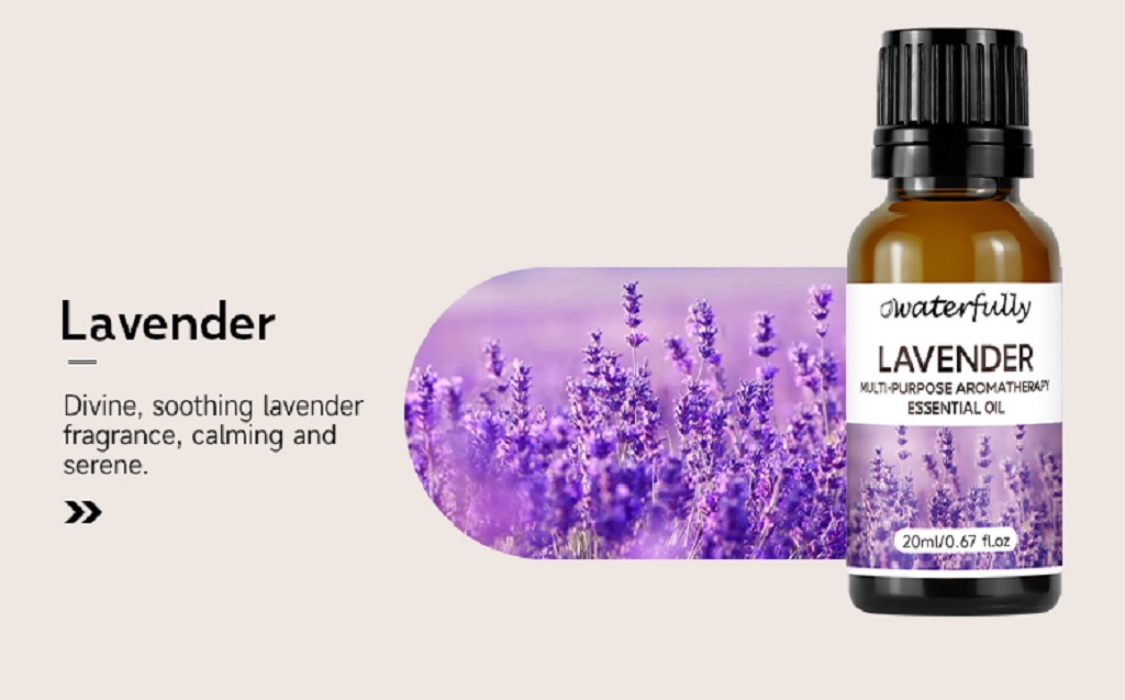 Plant aromatherapy (15)