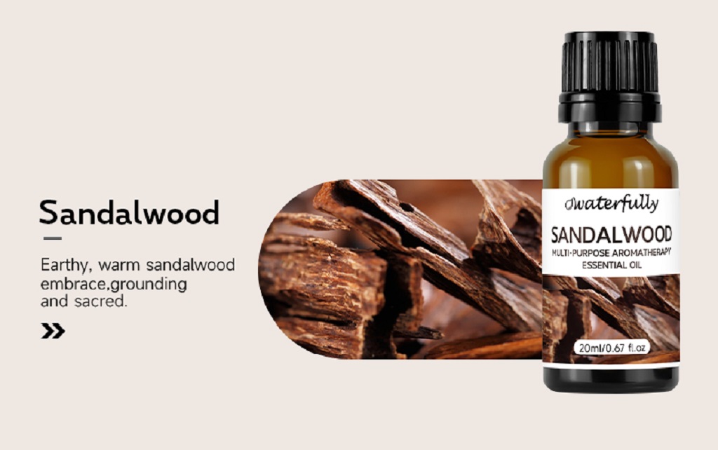 Plant aromatherapy (18)