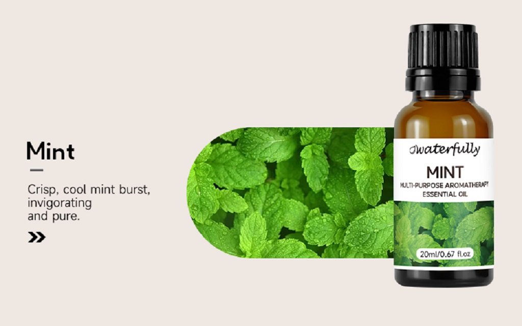 Plant aromatherapy (19)