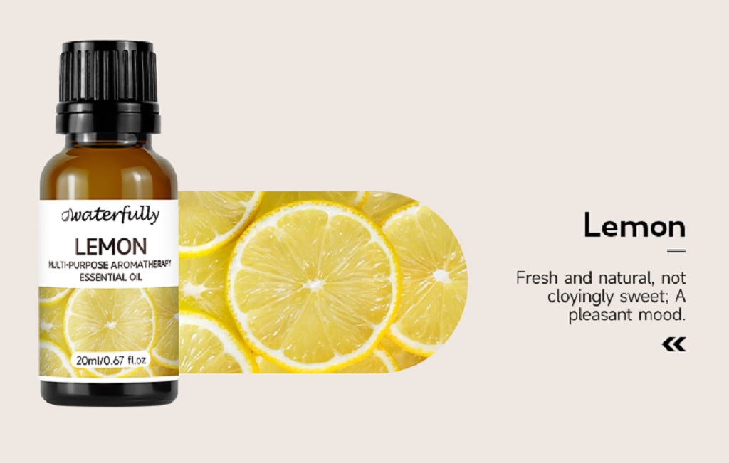 Plant aromatherapy (19)