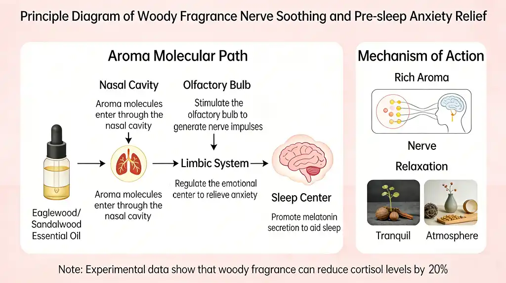 Aromatherapy Essential Oils: The Natural Healing Power in a Bottle, Unlocking Relaxation in Every Moment of Life